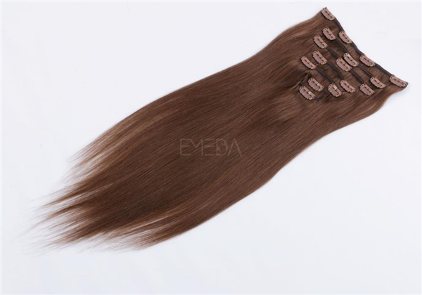 Clip In Human Hair Extensions Black WJ072